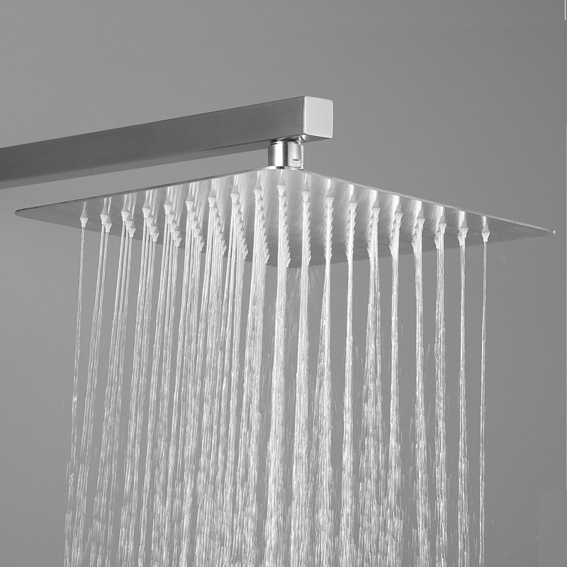 Interbath Rain Adjustable Shower Head Wayfair